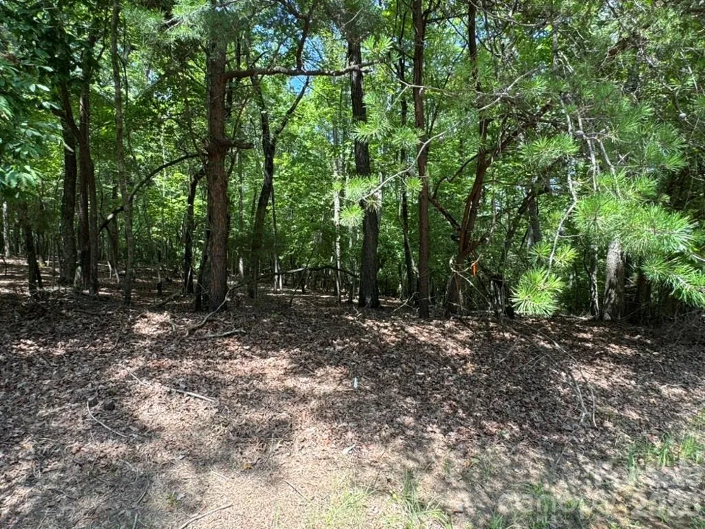0 Cottonstone Lane Troy, NC 27371