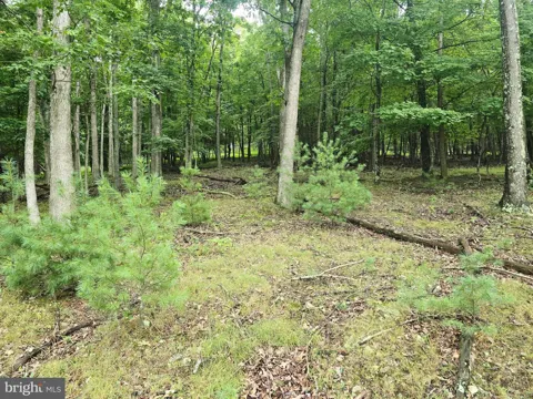 FAIRWAY LN