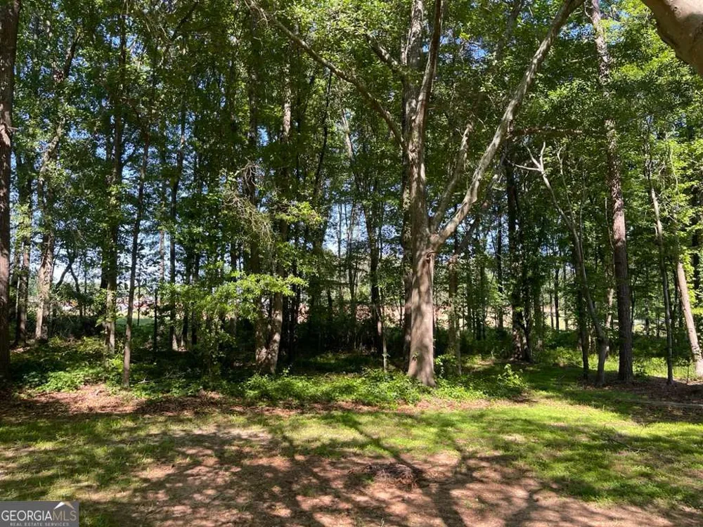 1071 Dials Mill SPUR Statham, GA 30666