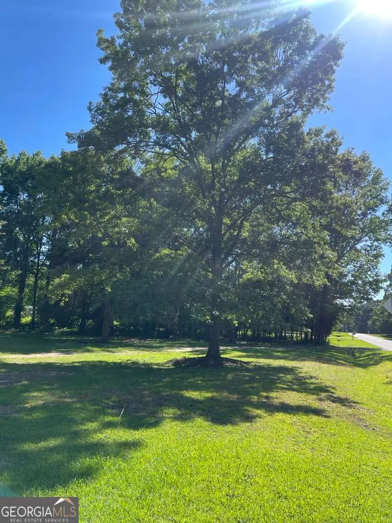1071 Dials Mill SPUR Statham, GA 30666