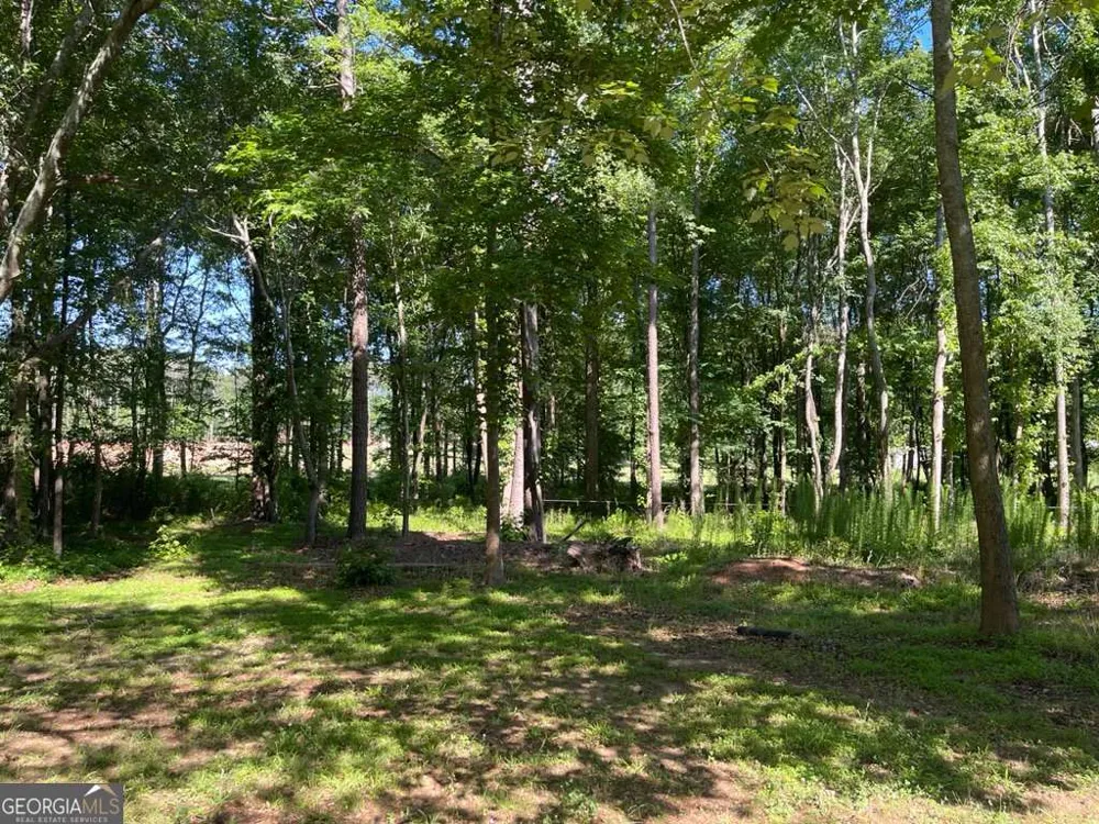 1071 Dials Mill SPUR Statham, GA 30666