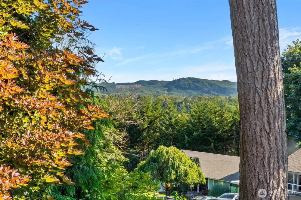 602 Val Vista Drive Montesano, WA 98563