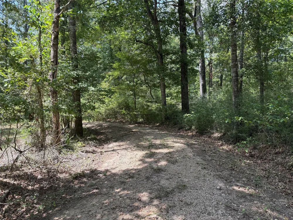 1470 Pr 8060 Woodville, TX 75979