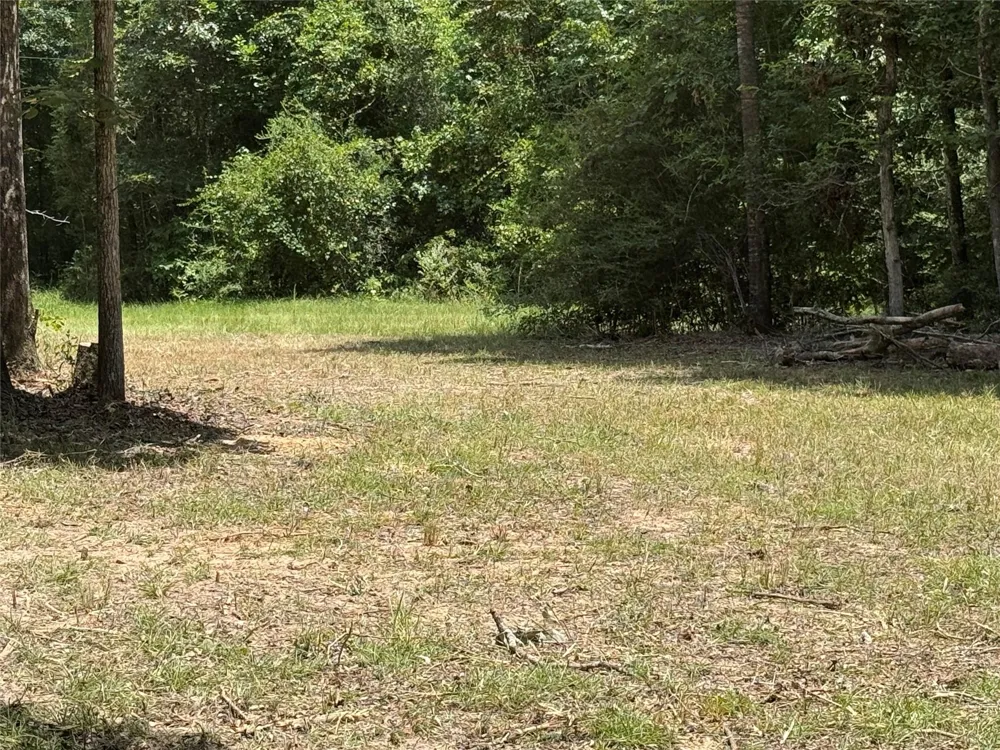 1470 Pr 8060 Woodville, TX 75979