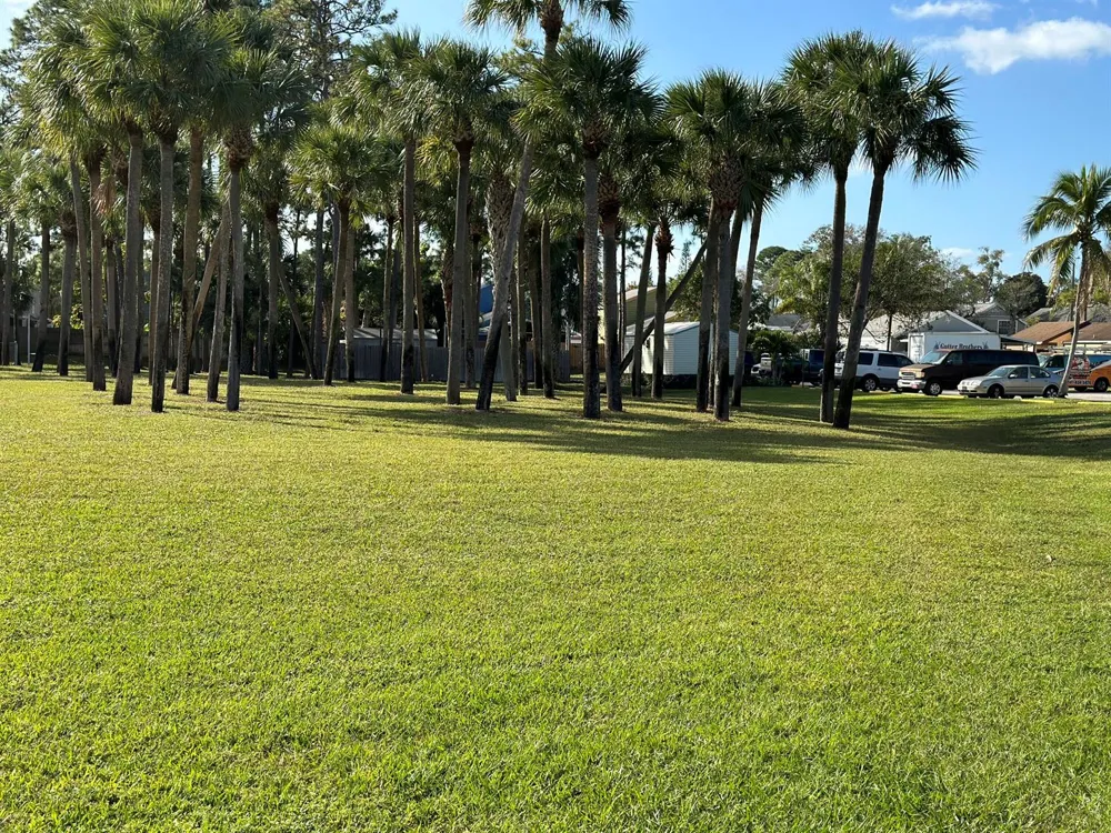 5780 Azalea Circle West Palm Beach, FL 33415