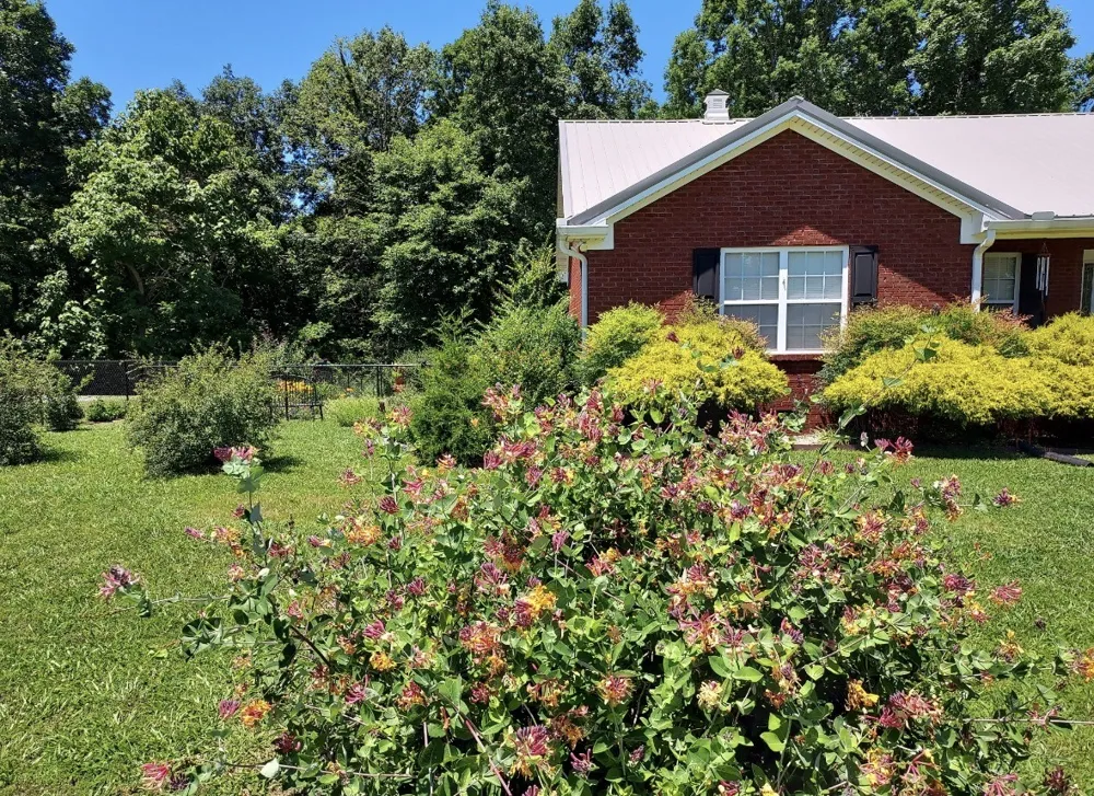 183 Taylor Ln Lafayette, TN 37083