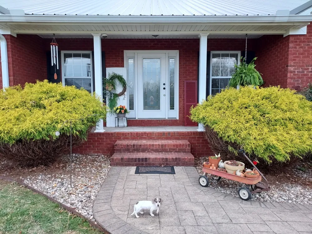 183 Taylor Ln Lafayette, TN 37083