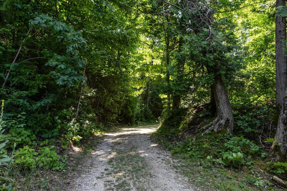 28095 Driftwood Court St James Township, MI 49782