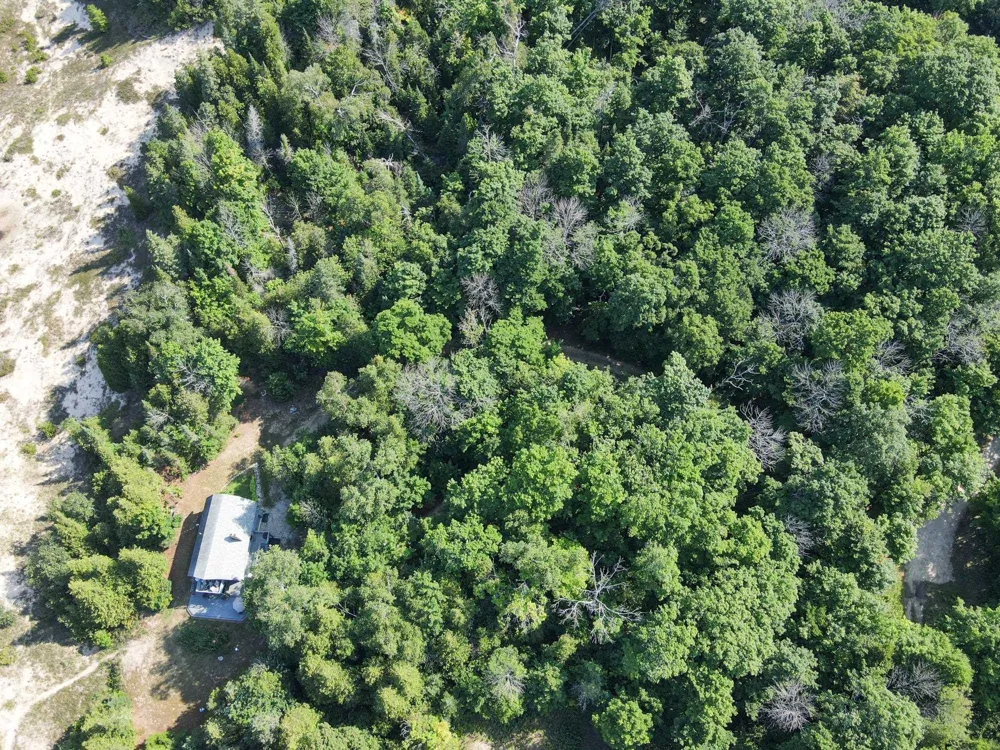 28095 Driftwood Court St James Township, MI 49782