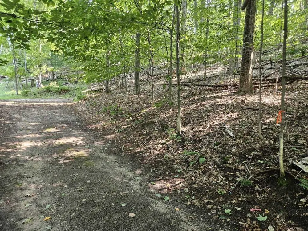 Figg Road Crystal Lake Township, MI 49635