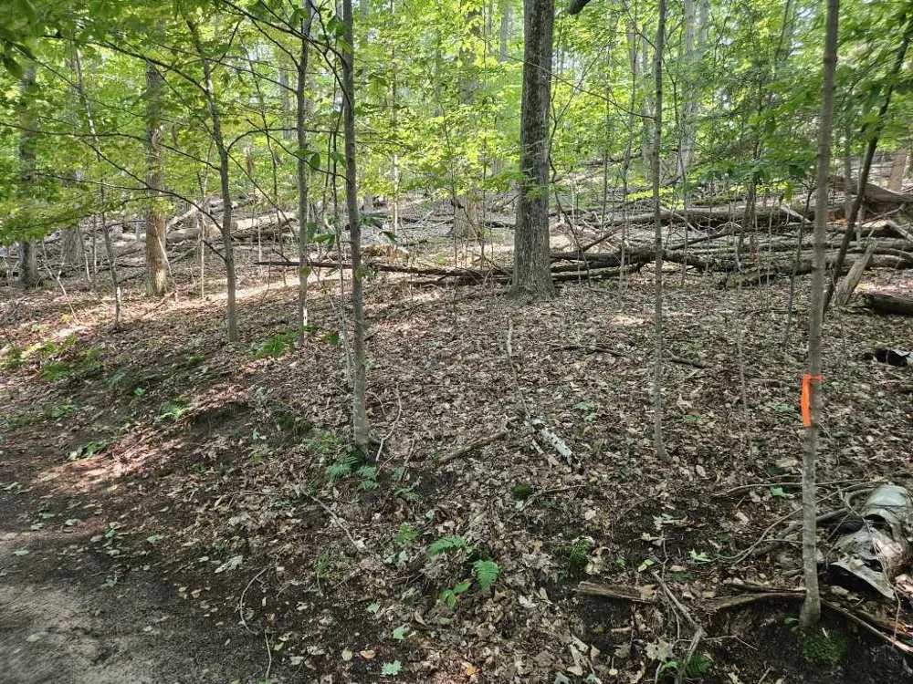Figg Road Crystal Lake Township, MI 49635
