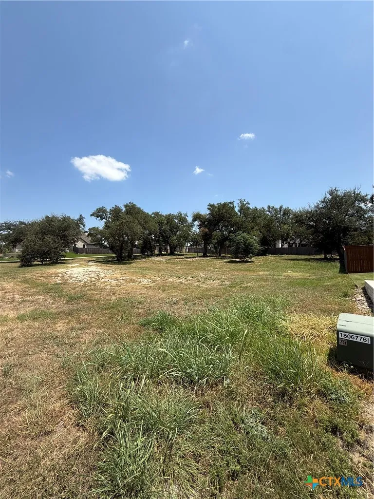 13 Agua Canyon Court Belton, TX 76513