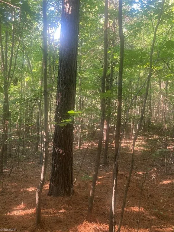0 Graham Davis Road Denton, NC 27279