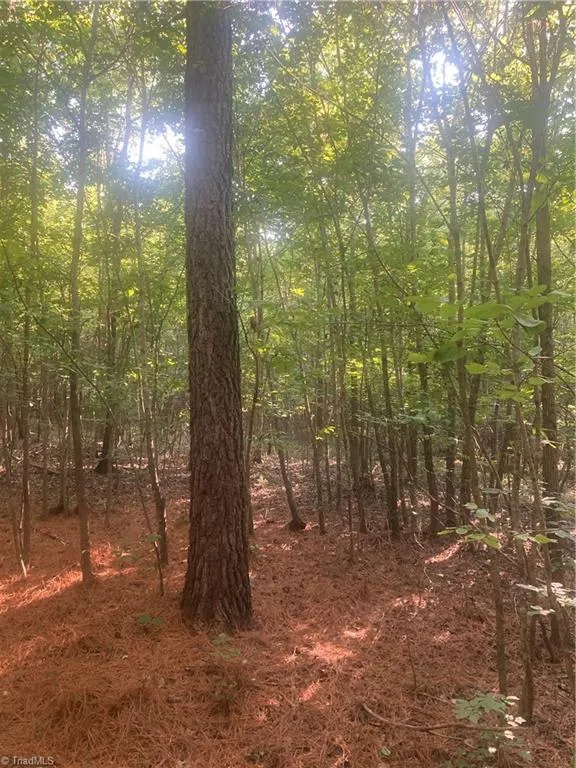 0 Graham Davis Road Denton, NC 27279