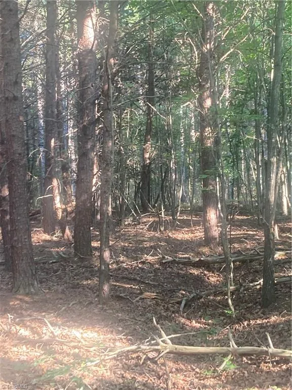 0 Graham Davis Road Denton, NC 27279