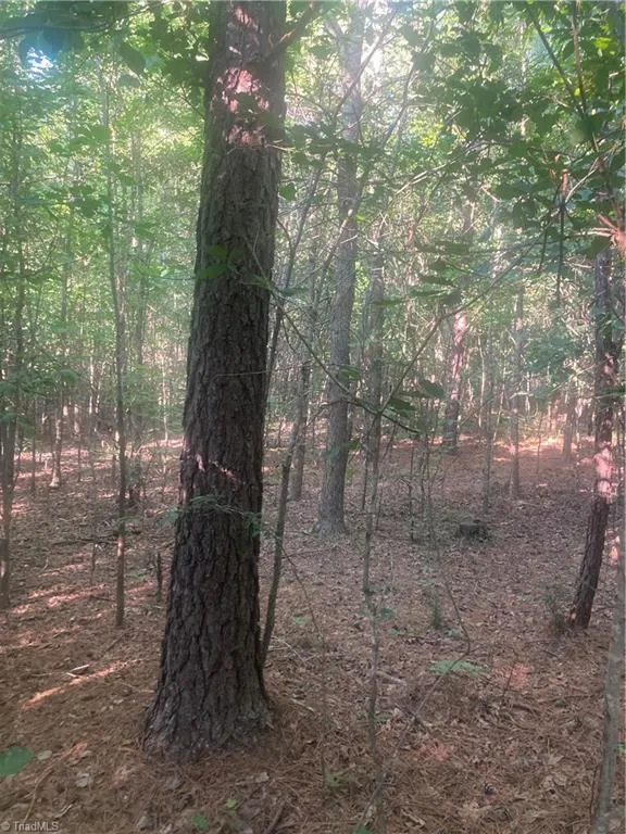 0 Graham Davis Road Denton, NC 27279