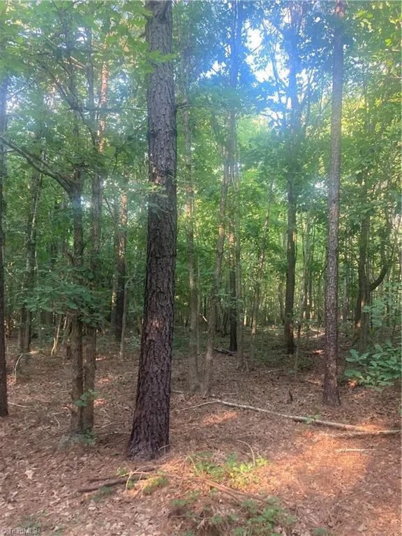 0 Graham Davis Road Denton, NC 27279