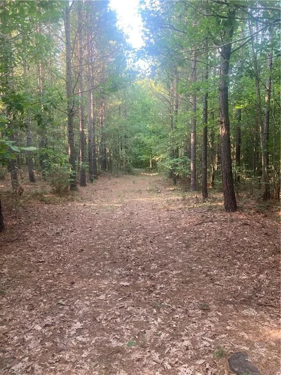 0 Graham Davis Road Denton, NC 27279