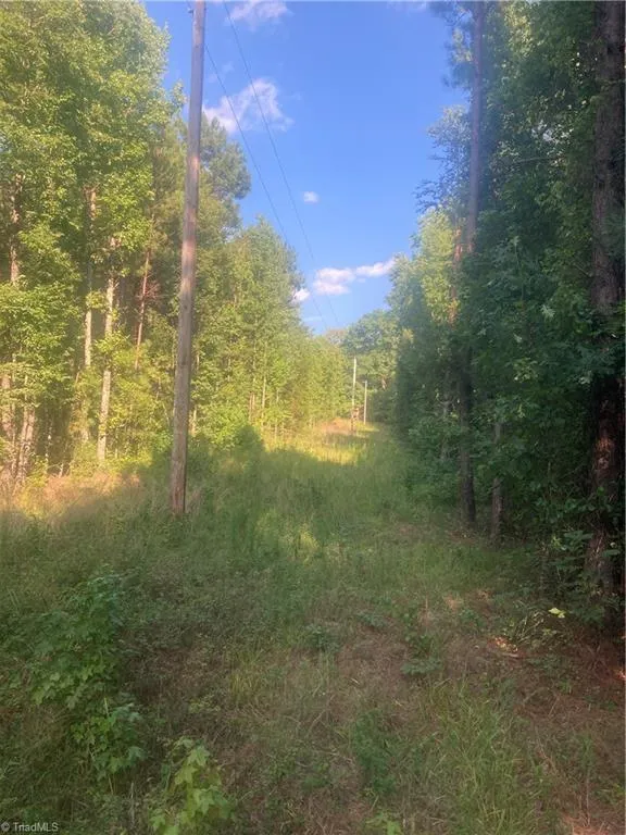 0 Graham Davis Road Denton, NC 27279