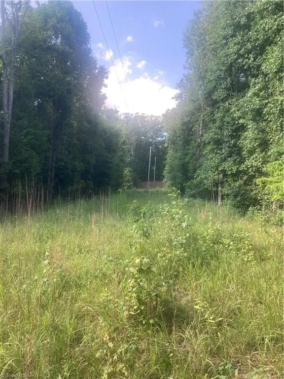 0 Graham Davis Road Denton, NC 27279