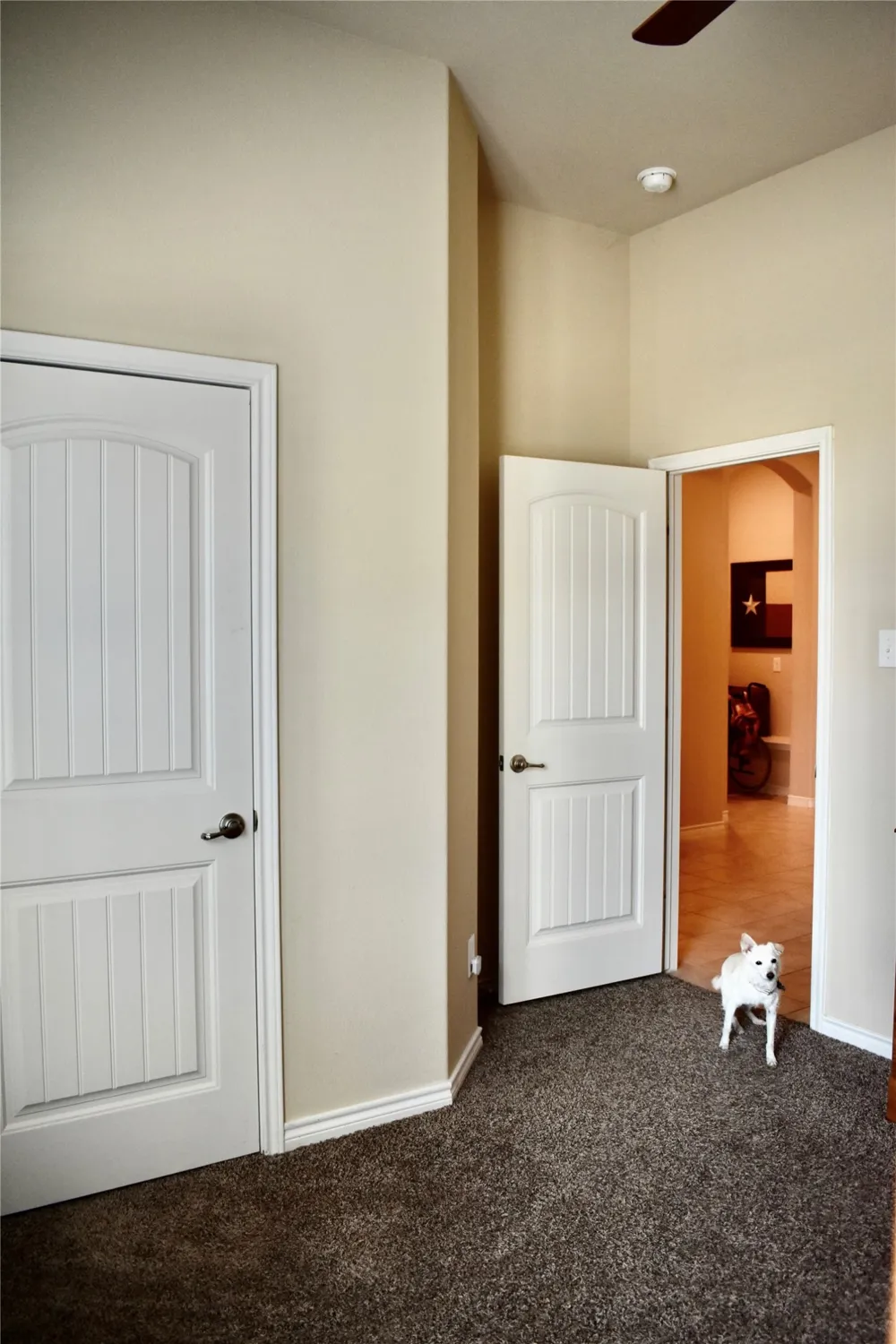 516 Millsap Drive Van Alstyne, TX 75495