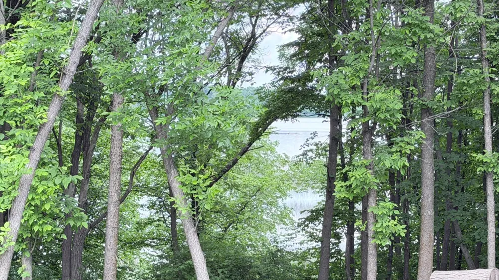 Lot 11 W Stalker Road Dalton, MN 56324