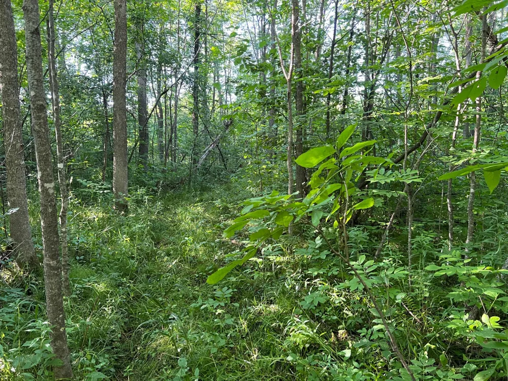 000 Beroun Crossing Rd Brook Park, MN 55007