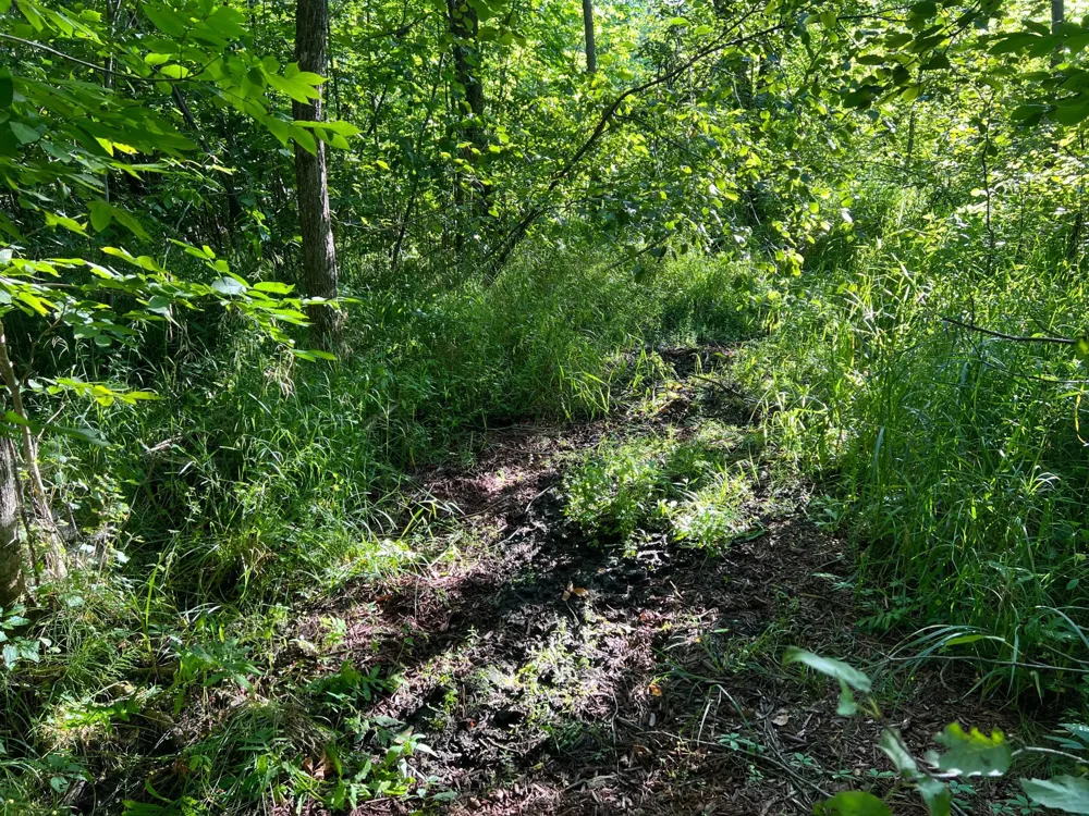 000 Beroun Crossing Rd Brook Park, MN 55007