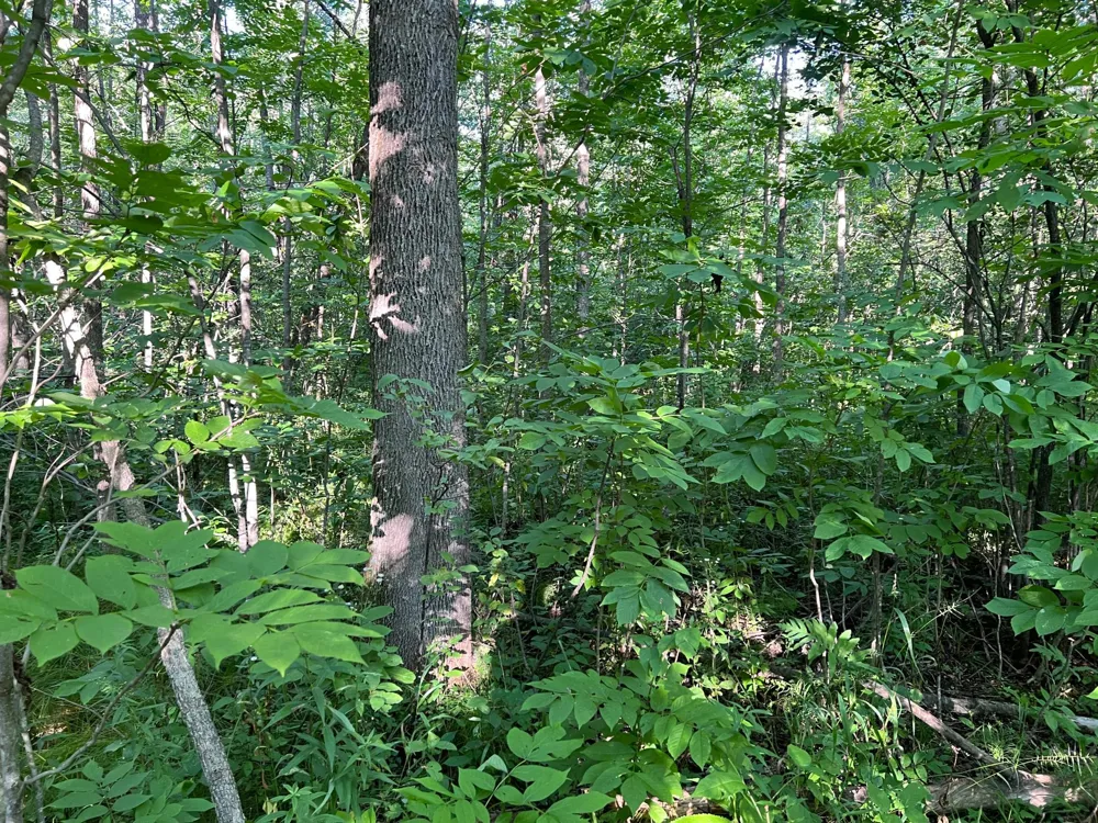 000 Beroun Crossing Rd Brook Park, MN 55007