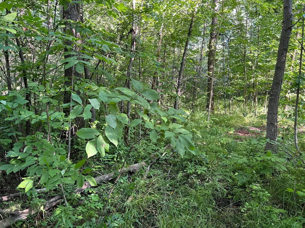 000 Beroun Crossing Rd Brook Park, MN 55007
