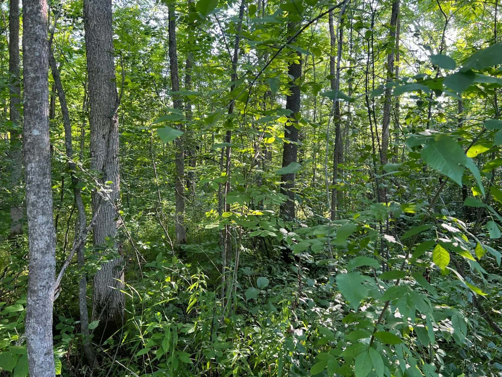 000 Beroun Crossing Rd Brook Park, MN 55007
