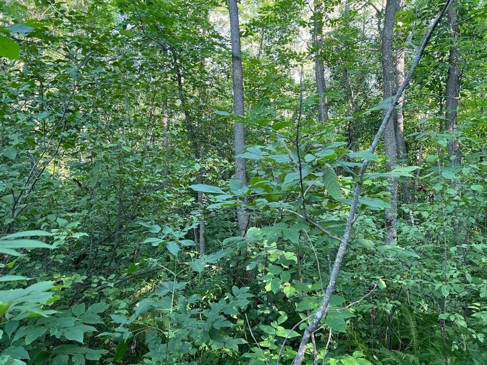 000 Beroun Crossing Rd Brook Park, MN 55007