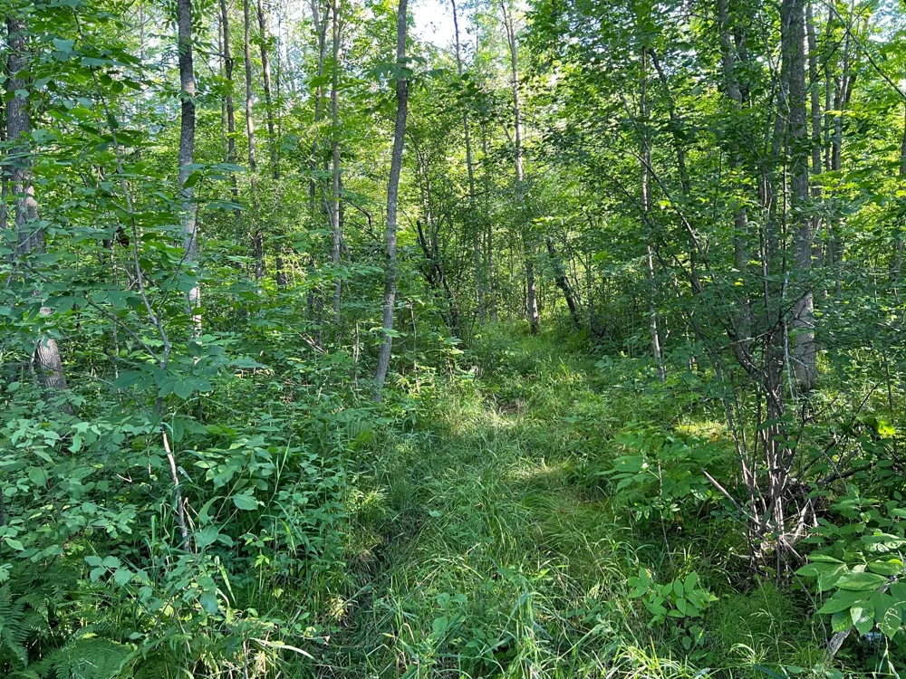 000 Beroun Crossing Rd Brook Park, MN 55007