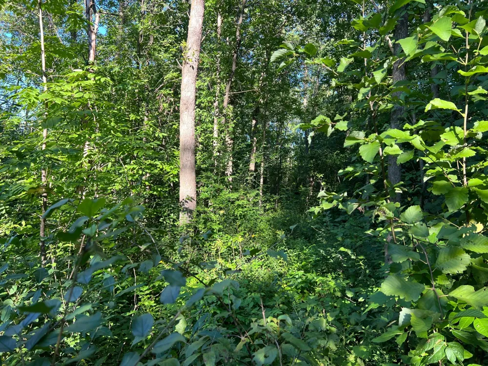 000 Beroun Crossing Rd Brook Park, MN 55007