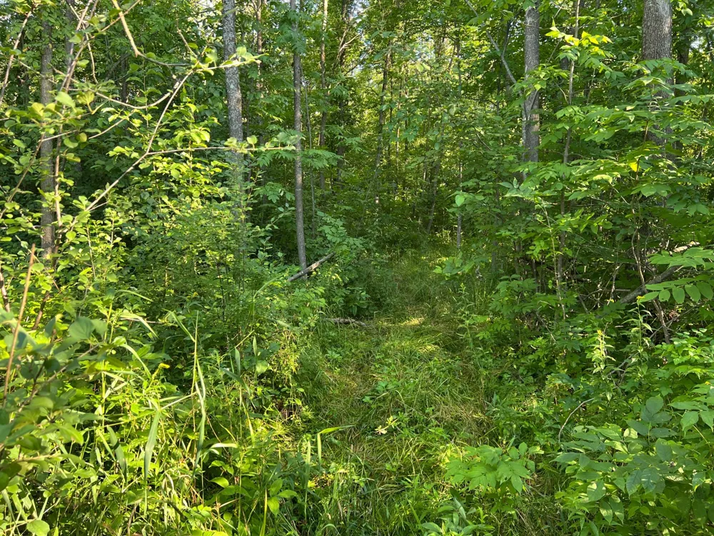 000 Beroun Crossing Rd Brook Park, MN 55007