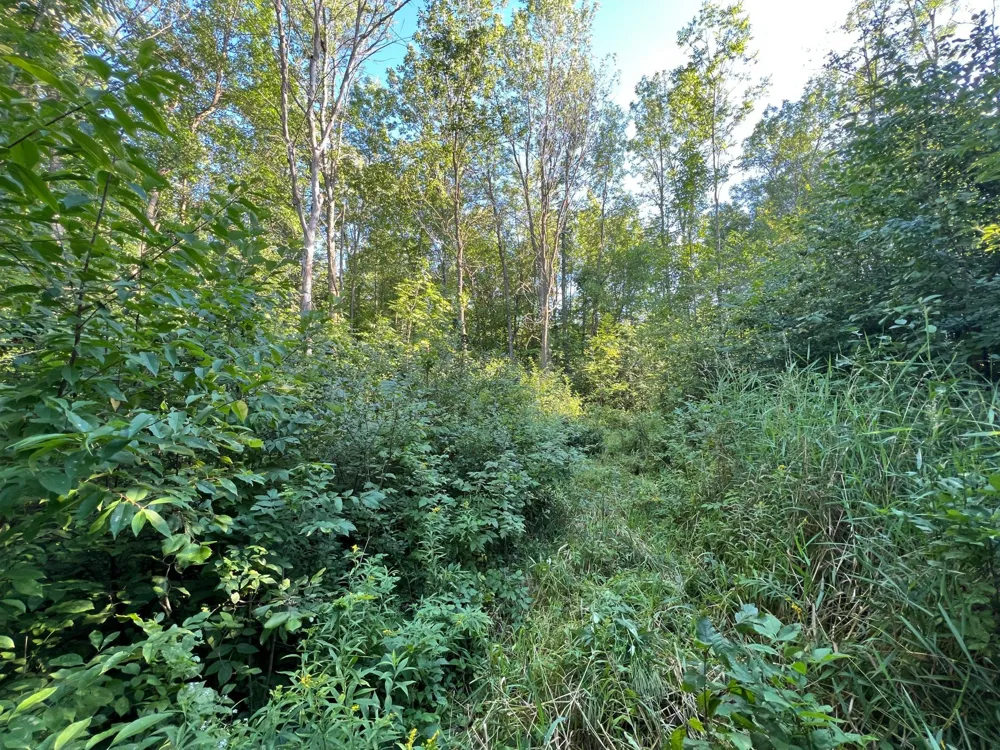 000 Beroun Crossing Rd Brook Park, MN 55007
