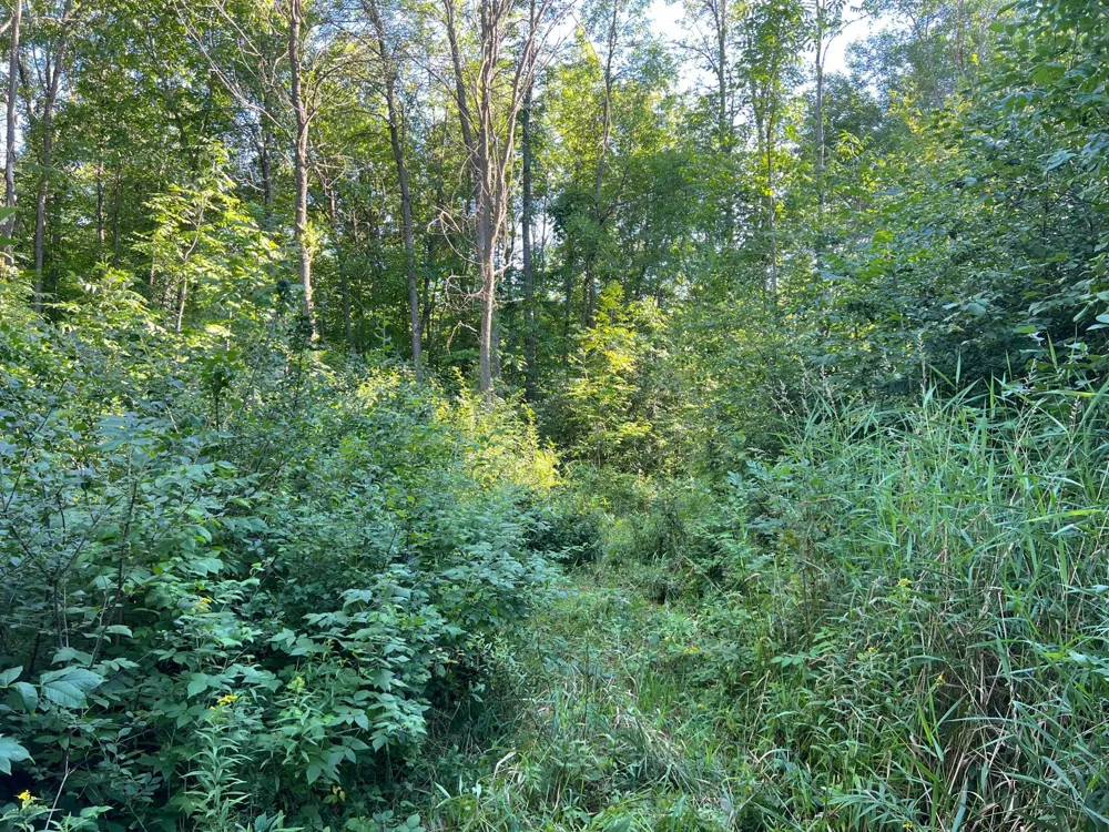 000 Beroun Crossing Rd Brook Park, MN 55007