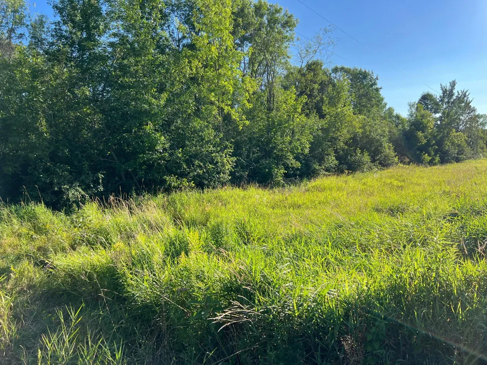 000 Beroun Crossing Rd Brook Park, MN 55007