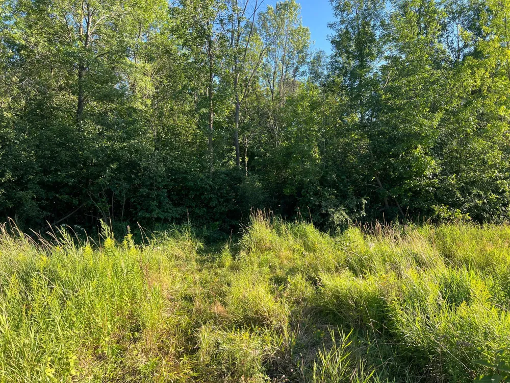 000 Beroun Crossing Rd Brook Park, MN 55007