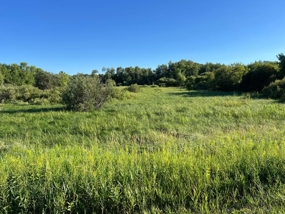 000 Beroun Crossing Rd Brook Park, MN 55007