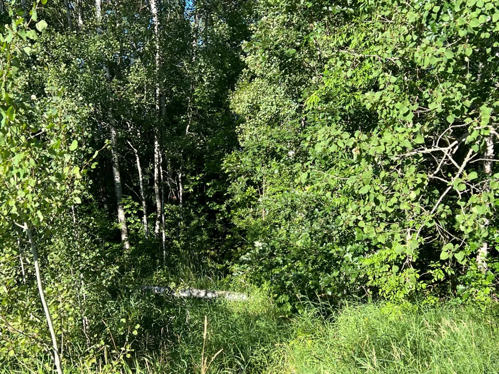 000 Beroun Crossing Rd Brook Park, MN 55007