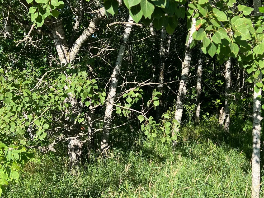 000 Beroun Crossing Rd Brook Park, MN 55007
