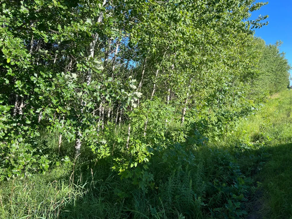 000 Beroun Crossing Rd Brook Park, MN 55007
