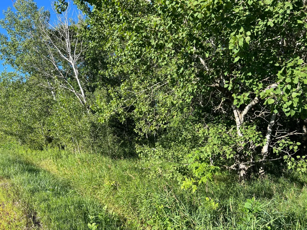000 Beroun Crossing Rd Brook Park, MN 55007