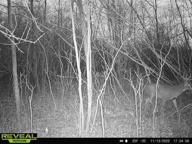 000 Beroun Crossing Rd Brook Park, MN 55007