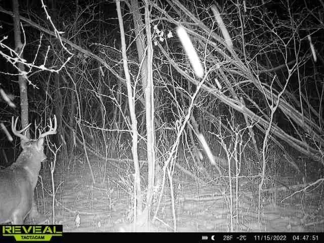 000 Beroun Crossing Rd Brook Park, MN 55007