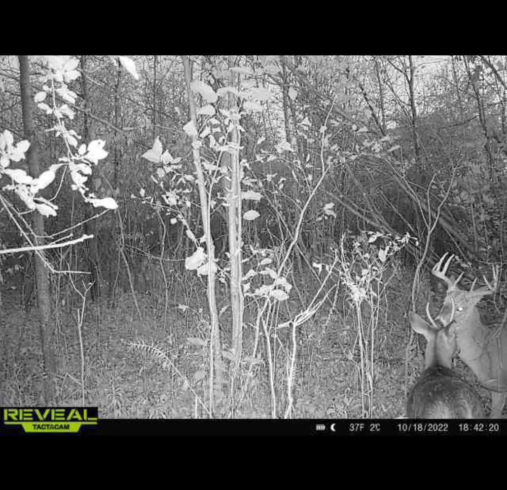 000 Beroun Crossing Rd Brook Park, MN 55007