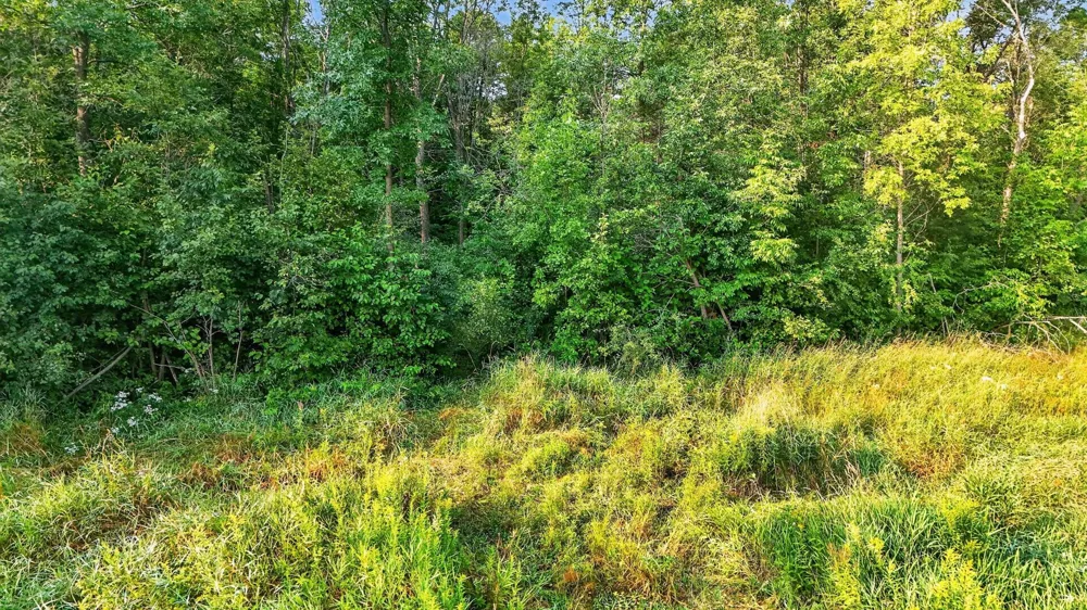 000 Beroun Crossing Rd Brook Park, MN 55007