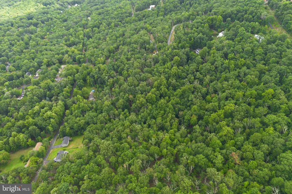 2593 WILEY TERRACE Haymarket, VA 20169