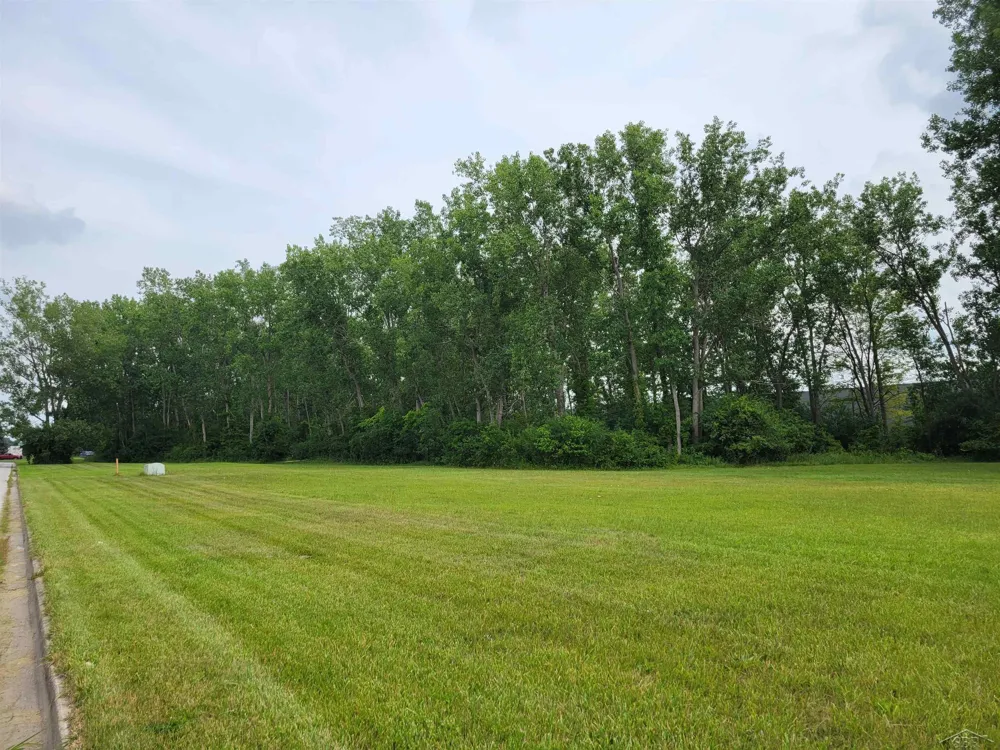 S McLeod Drive Saginaw Charter Township, MI 48604